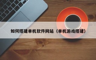阜宁如何搭建单机软件网站（单机游戏搭建）